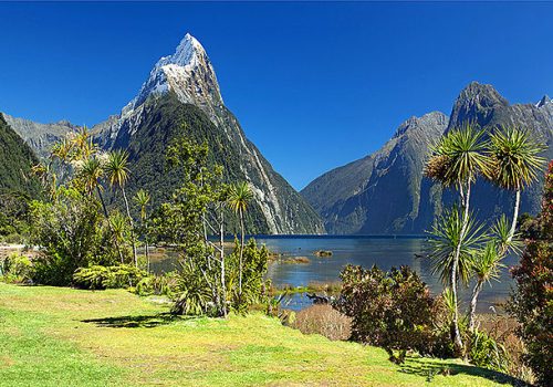 New Zealand Tourist Visa​